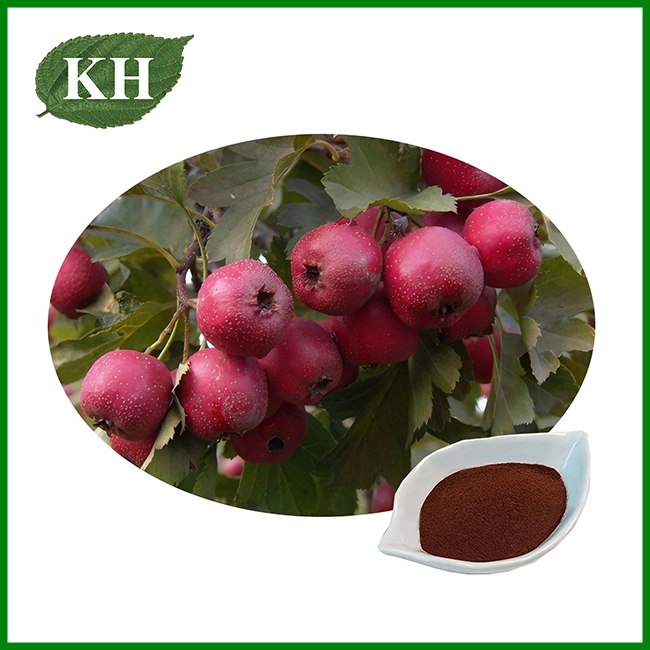 Hawthorn Fruit Extract